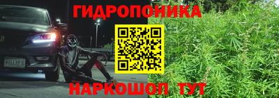 PSILOCYBIN Камышлов