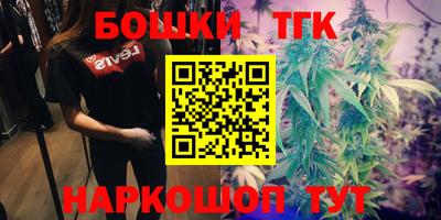 PSILOCYBIN Камышлов