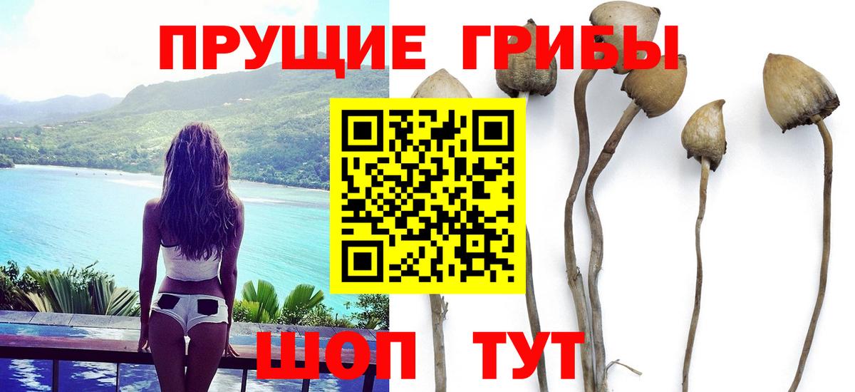 Псилоцибиновые грибы мицелий  Вход с VPN  Псилоцибиновые грибы Magic Shrooms  Янаул 
