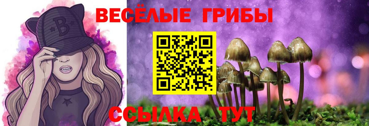 Галлюциногенные грибы мицелий Янаул
